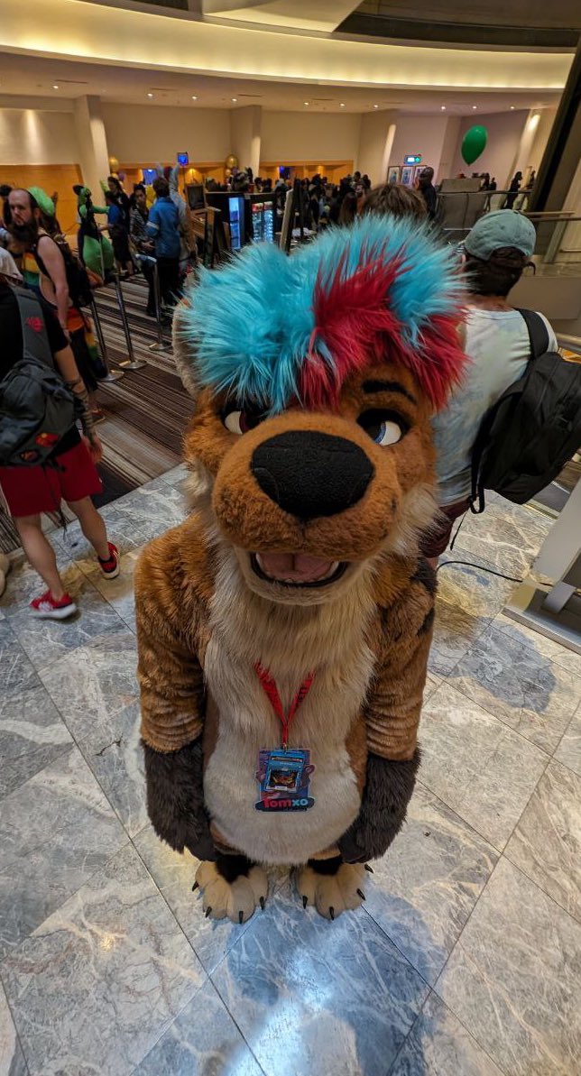 I‘m not that small!! 👉🏼👈🏼
@Keren0s is just tall! 🦝 

#FWA2024 Happy #FursuitFriday :3