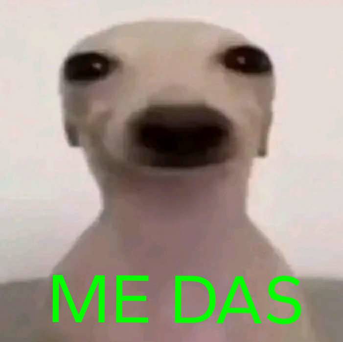 DIA_Esp's tweet photo. *Abro la bolsa de patatillas

Mi pana más veloz que el maldito Verstappen: https://t.co/GepJmfMym2