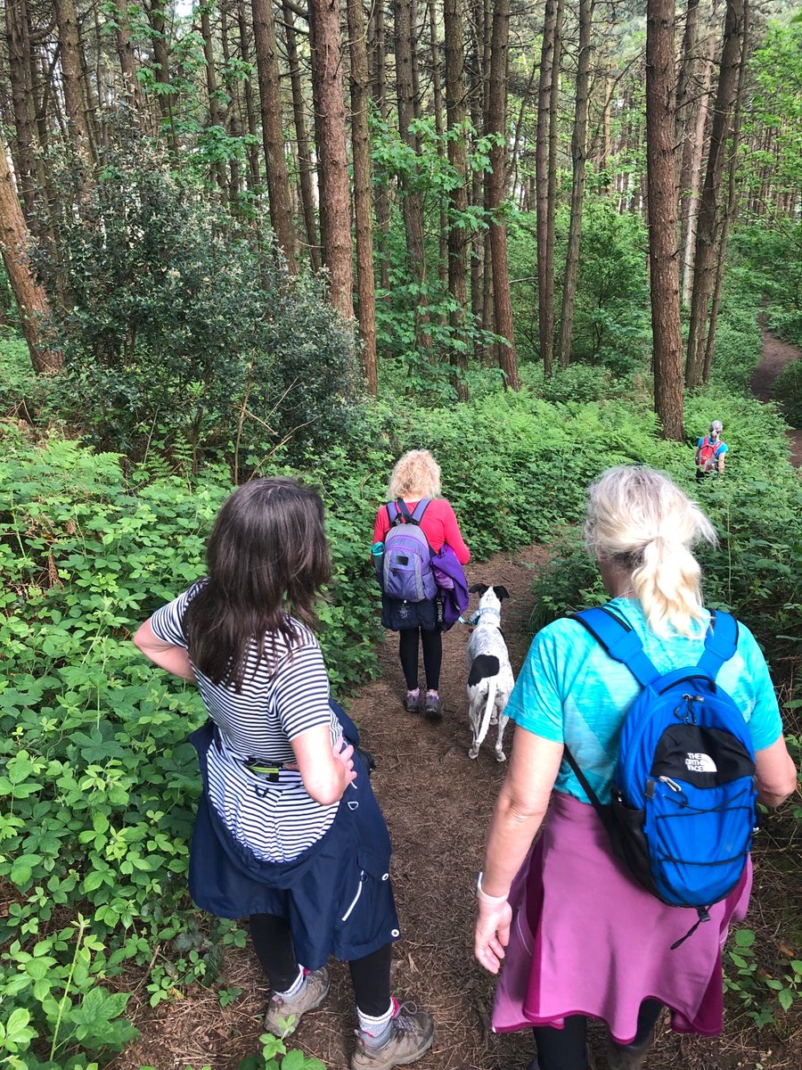 'A fabulous walk - lots of chatting and laughter.'🌿🥾 Thank you to Rachel Richards for hosting her 'Ladies Only - Grammars Common, @ntisleofwight's The Longstone & Downs' walk.📸 Join Rachel on the Needles Half Marathon walk this Sunday: bit.ly/3U9uAJR #IsleofWight