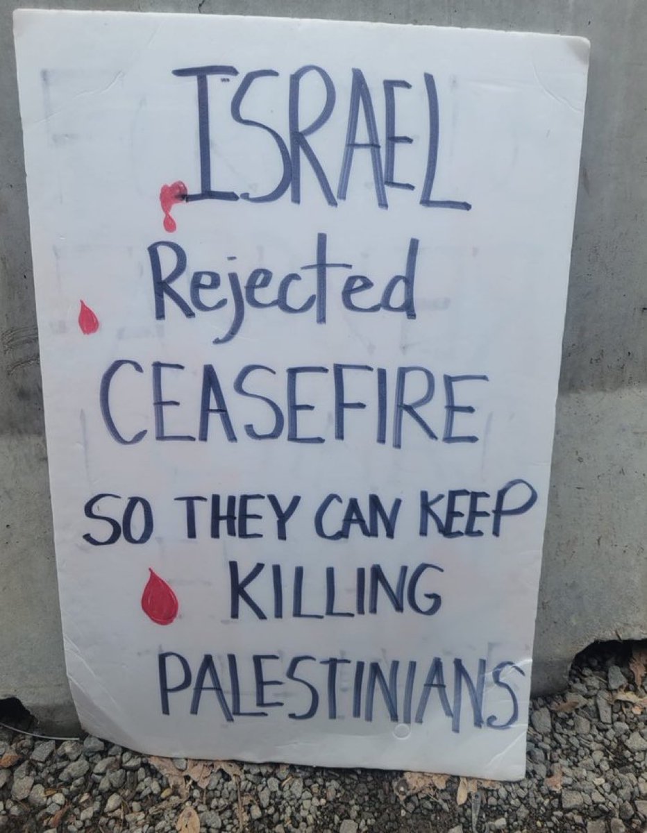 Israel never wanted their hostages back. Bombing the Hell out of Gaza was more important to them.