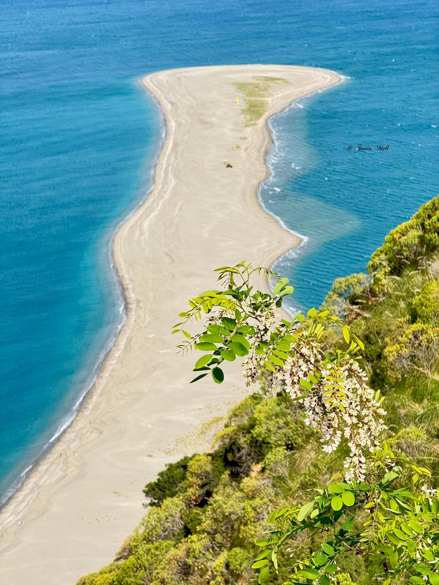 Where would you rather be this weekend? How about following our suggestion? A visit to the Marinello Nature Reserve and final dive! 📸 Tania Meli #visitsicilyinfo #nature #sicily #beaches #reserve #Patti #Oliveri #Messina