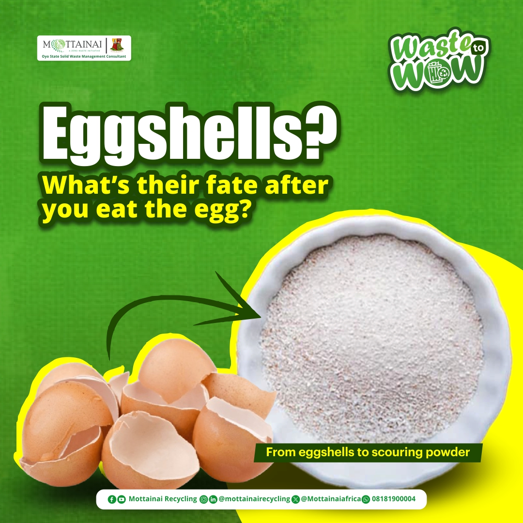 No walking on eggshells on this topic: How many eggs does your household consume monthly? What do you do with the shells? #MottainaiRecycling