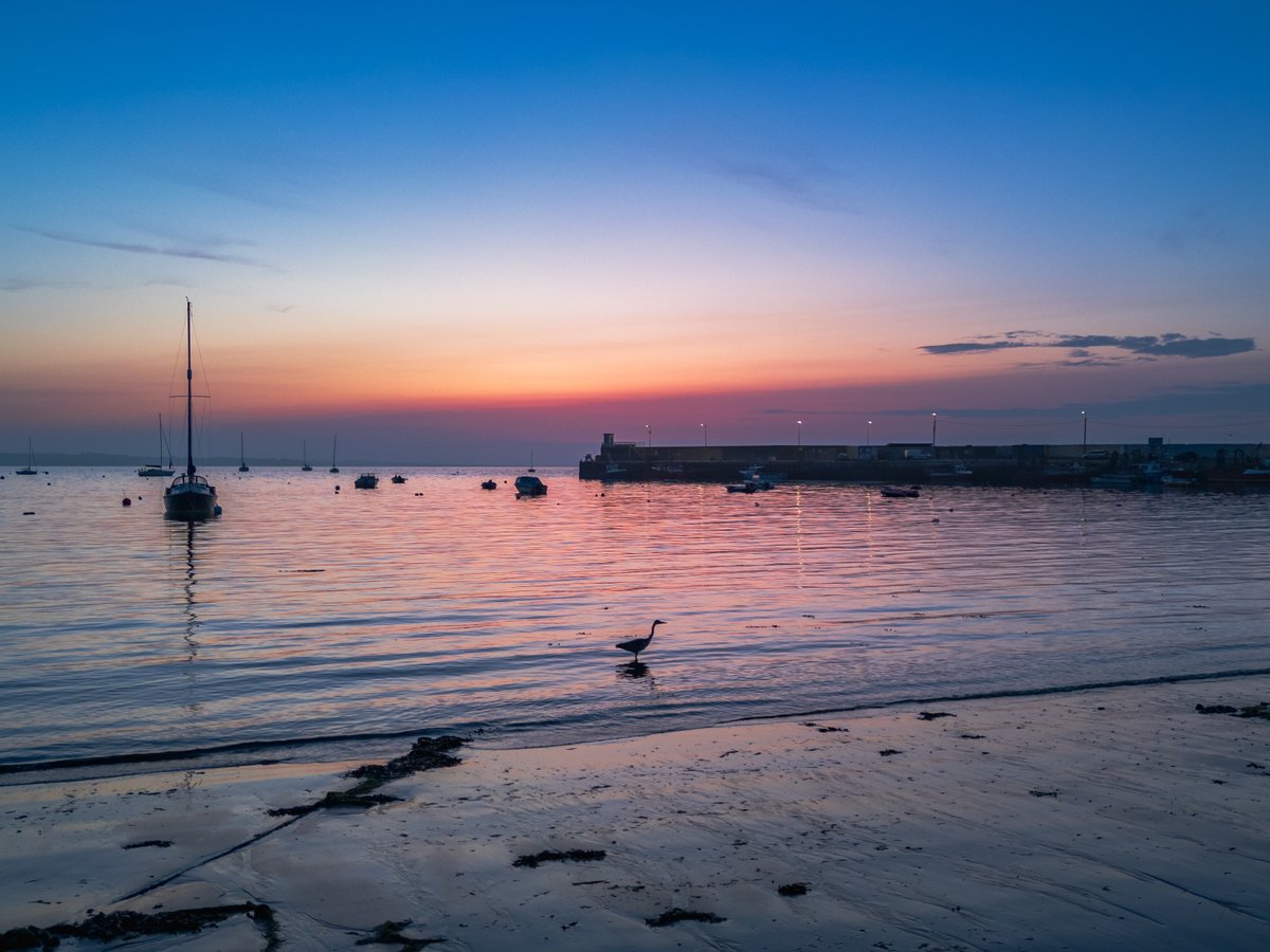 Heron spotted at Skerries Harbour on Wednesday evening after sunset.