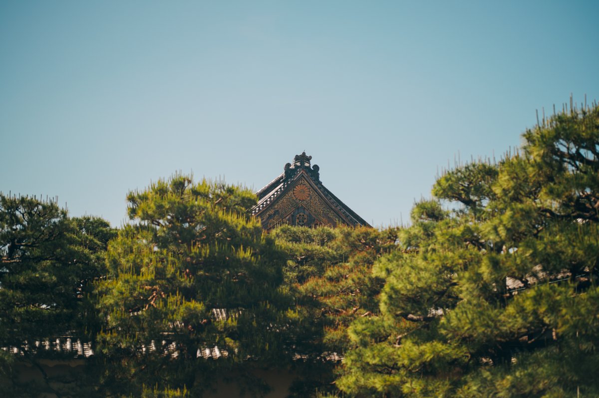 takuma3_'s tweet image. #PowderBlue 濃いめ

#SIGMAfp