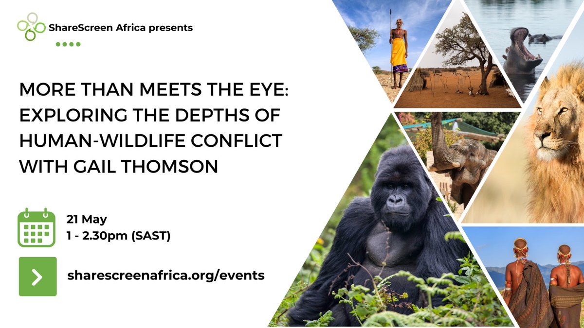 Want to know more about why human-wildlife conflict is a complicated issue, and how simple technical fixes may not work as well as expected? Then join this webinar on Tuesday, 21st May hosted by ShareScreen Africa. Register here: sharescreenafrica.org/events/more-th…