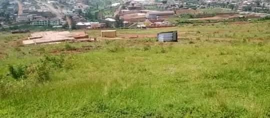 🗣️ Les habitants de la colline #Rukoba à la sous-colline #Zege notamment à 'Kabashikiro et ku kimanga' en commune #Gitega demandent à la @Regideso_bdi, l'électrification de ce quartier dont une partie déjà viabilisée et l'autre en cours 🎙️Selon la #Regideso à @Gitega, le projet