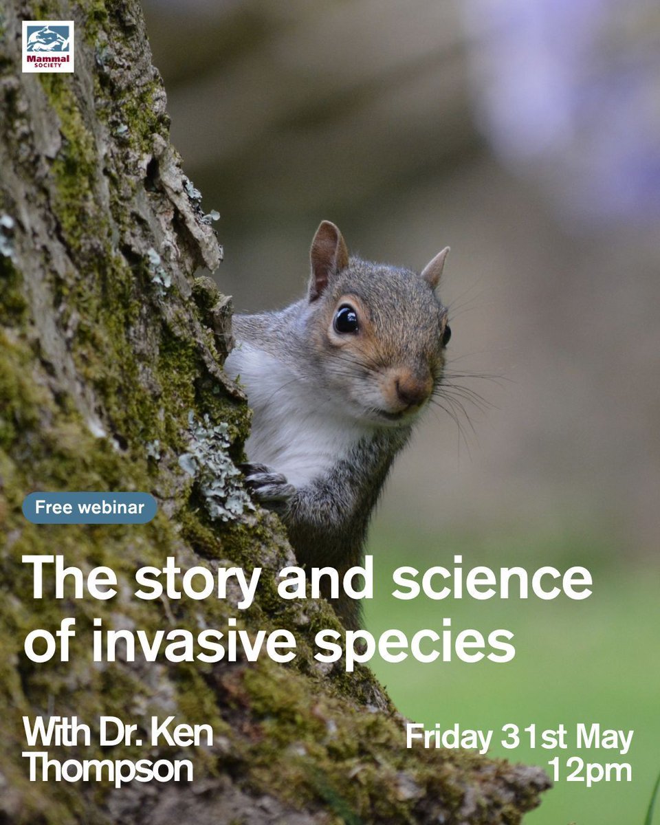 What do grey squirrels, american mink, and muntjac deer all have in common? Join us on May 31st at 12pm with Dr. Ken Thompson, ecologist and author, to explore the story and science of invasive species. Register here: buff.ly/3UNtNNV