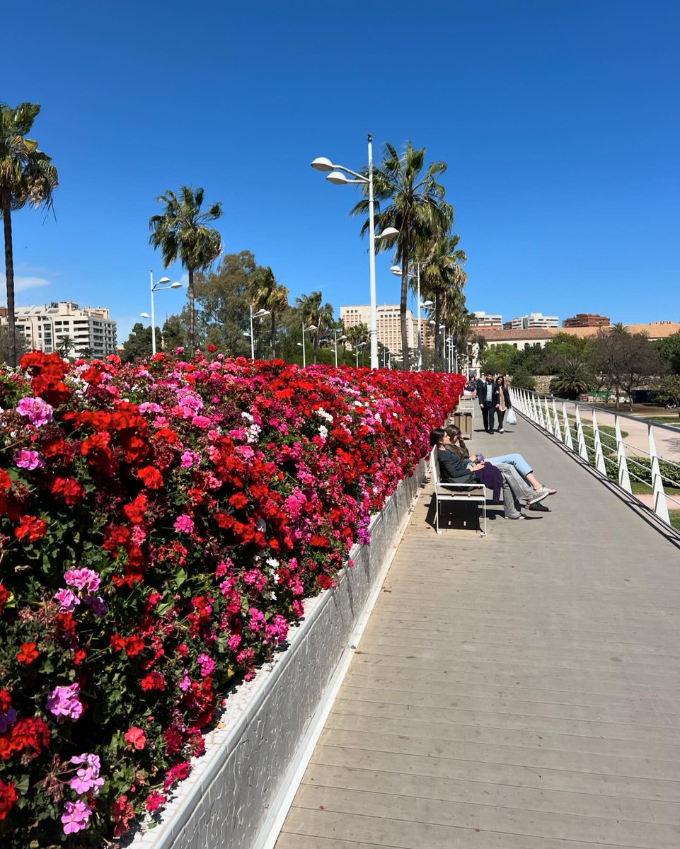 Dicen que València es la tierra de las flores.🌺 ¿Vienes a descubrirlo? 📸: tetiana.rudomanenko (IG) #VisitValència #València #VibraConValència