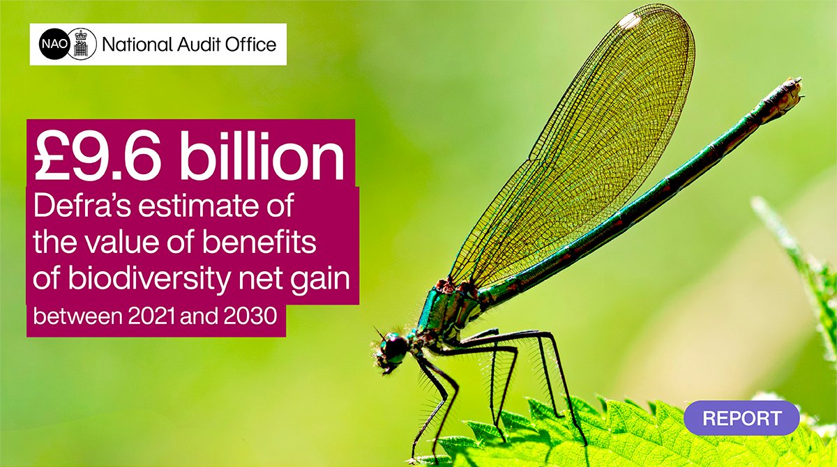 Government says requiring developers to enhance biodiversity of the land they are developing could deliver broad benefits of £9.6 billion over ten years. Find out how government is implementing this requirement through statutory biodiversity net gain: nao.org.uk/reports/implem…