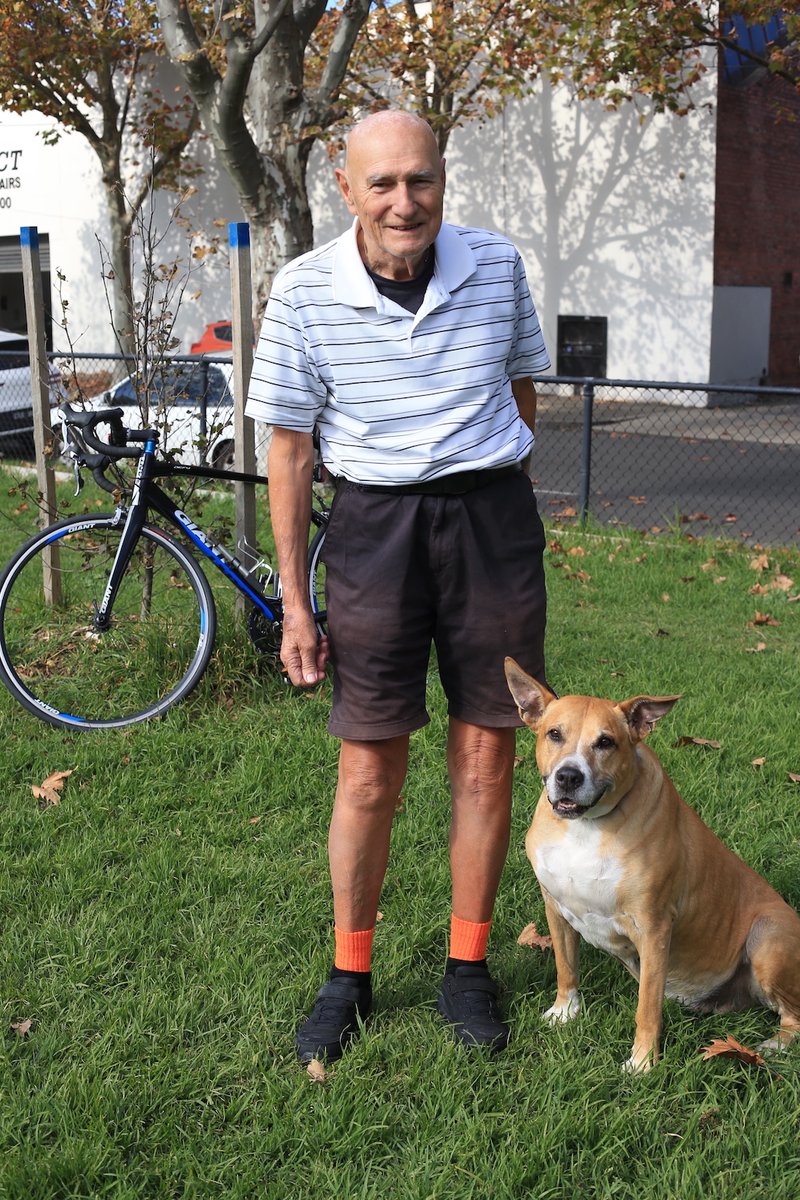 Meet Ray Lipscombe, who recently celebrated his 80th birthday by riding 344km from Albury to Altona to raise money for The Lost Dogs' Home 👏🥹🐶

Read more about Ray and his love of riding, and dogs, here: auscycling.org.au/nat/news/80-ye…

@LostDogsHome