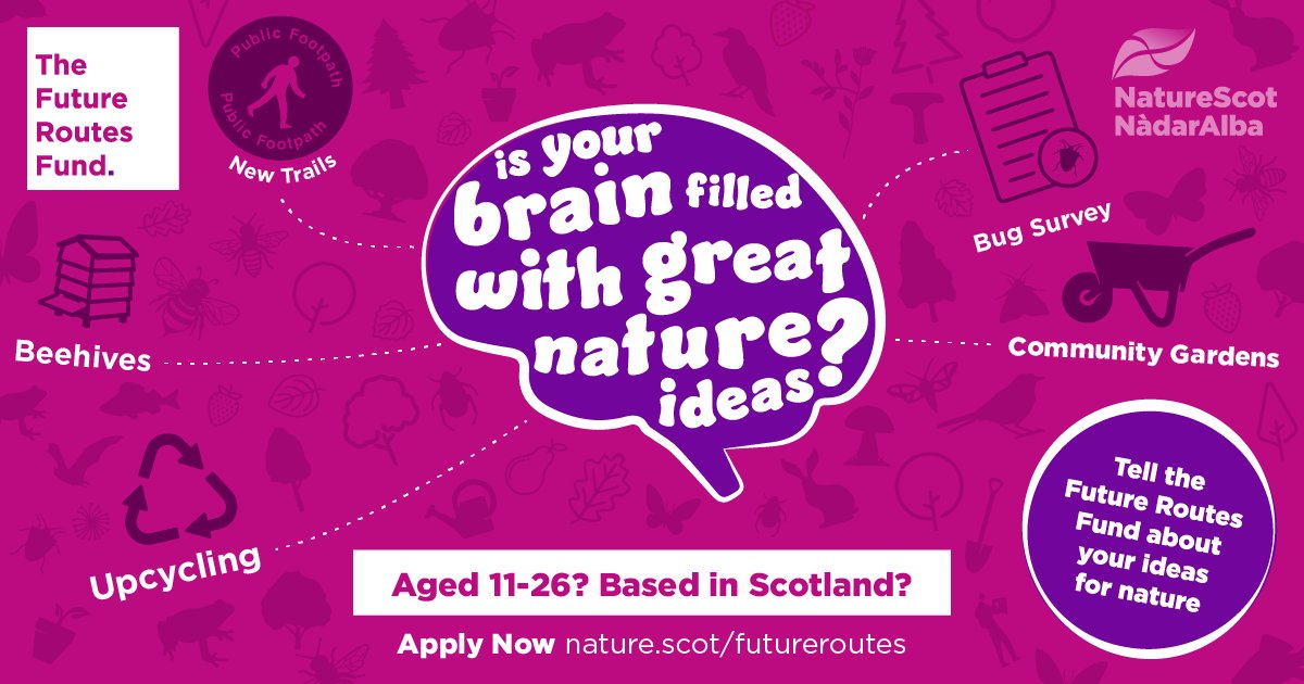 Between 11-26 years old and want to connect with nature and take positive action for biodiversity and the climate? We've got just the thing for you - The Future Routes Fund! Individual grants: £500 to £2K Team grants: £1-5K 🌎 orlo.uk/TheFutureRoute… #GreenHealthWeek