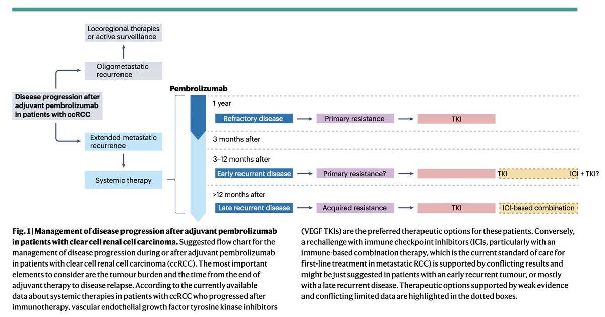 ⚠️📢 Out now on @NatRevUrol our comment about the role of adjuvant immunotherapy in #rcc @DrChoueiri @montypal @tompowles1 @AIOMtweet @Uromigos @OncoAlert