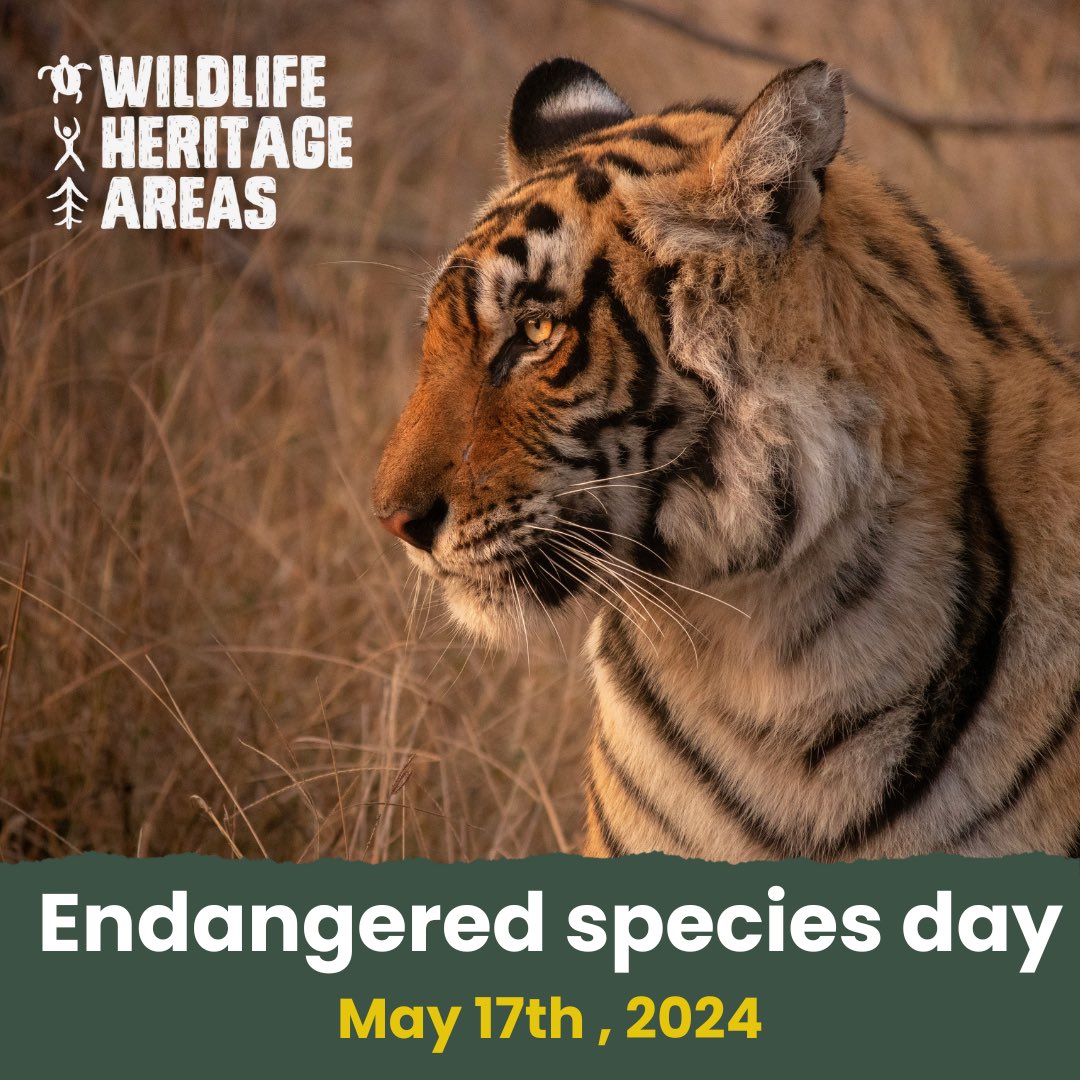 Today is #EndangeredSpeciesDay Biodiversity is in decline. Over 157,100 species are on The @IUCNRedList with more than 44,000 species threatened with extinction. We must continue to raise awareness and take action by prioritising biodiversity to safeguard our future.
