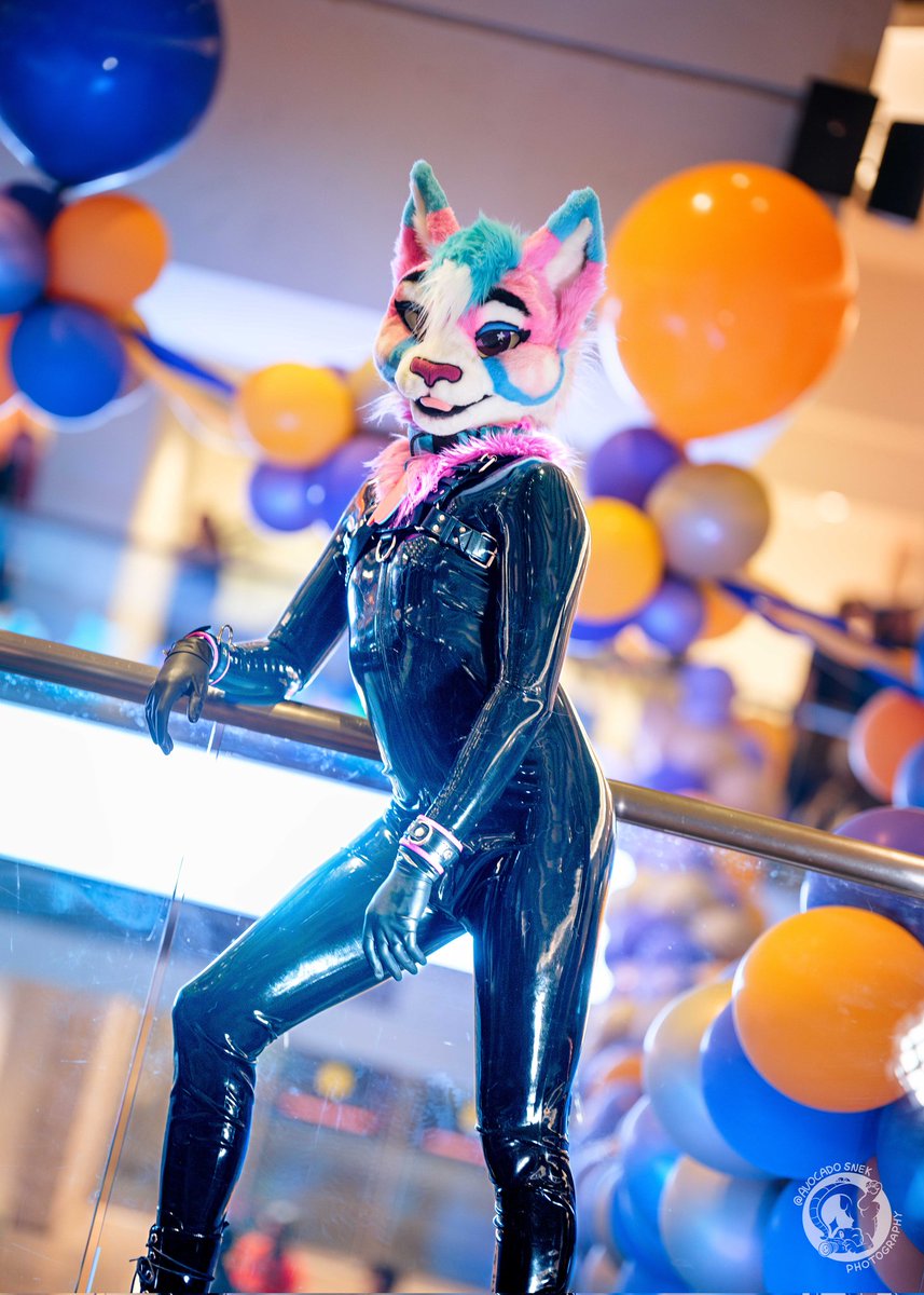 KoKoNut ➡️ FWA (@kokocat15) on Twitter photo I know it's not #SqueakySaturday but im a cat, I don't follow rules.
📷 <a href="/AvocadoSnek/">avocadosnek.bsky.social</a> (the best photographer out there) I know it's not #SqueakySaturday but im a cat, I don't follow rules.
📷 <a href="/AvocadoSnek/">avocadosnek.bsky.social</a> (the best photographer out there)