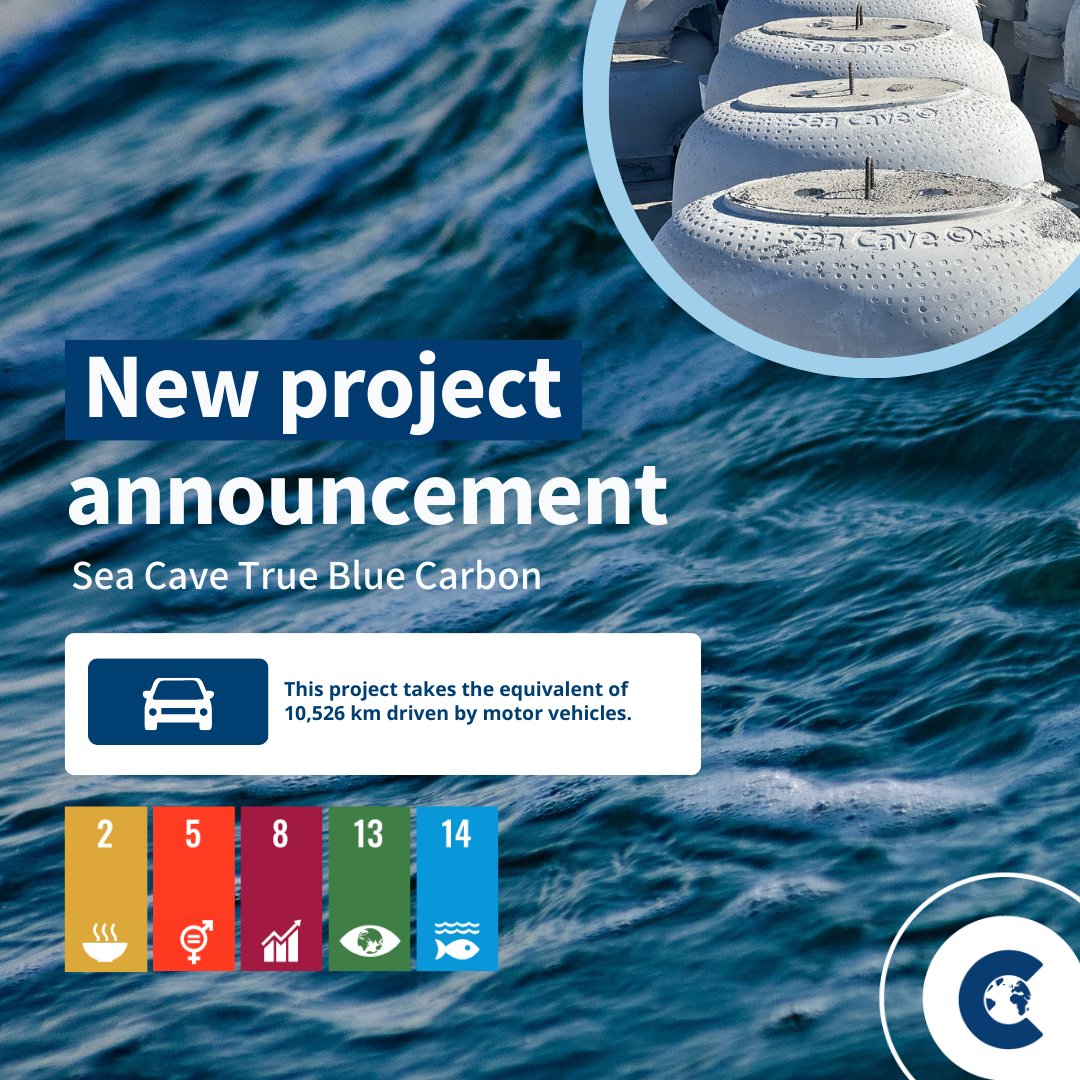 Fighting climate change and protecting our oceans can go hand-in-hand with Sea Caves True Blue Carbon. This new groundbreaking project aims to reduce atmospheric CO2 and promote Blue Carbon. Learn more in our marketplace: lnkd.in/dKp8iRUh #BlueCarbon #ClimateAction