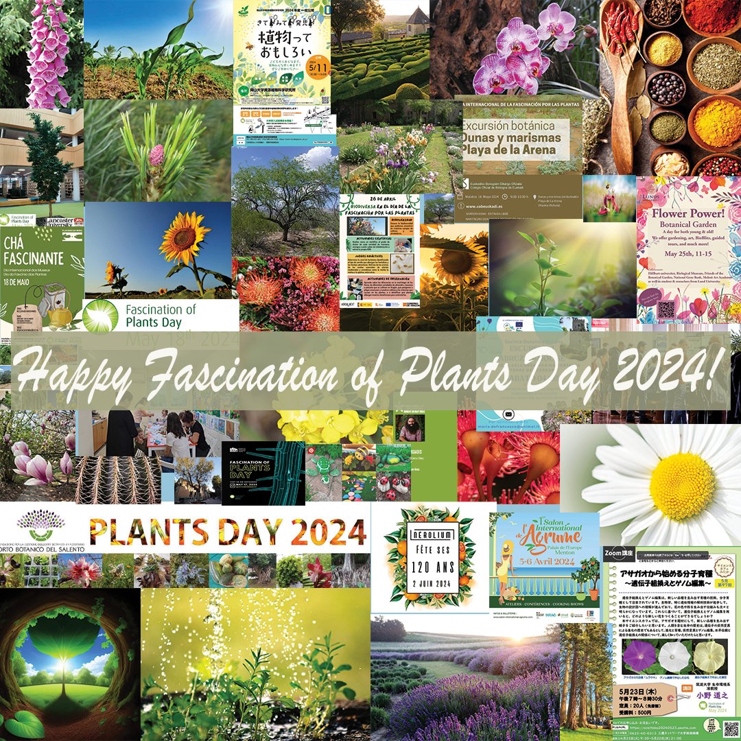 Fascination of Plants Day (@plantday18may) on Twitter photo 🌿 May 18th🌻Today is Fascination of Plants Day🥳🥳Join the global celebration with over 500 events in 64 countries across all continents🌍 Explore the wonders of plant life & the vital role of plant science 👩🔬 Don't miss out on this rewarding botanical adventure🎉 #plantday 🌿 May 18th🌻Today is Fascination of Plants Day🥳🥳Join the global celebration with over 500 events in 64 countries across all continents🌍 Explore the wonders of plant life & the vital role of plant science 👩🔬 Don't miss out on this rewarding botanical adventure🎉 #plantday