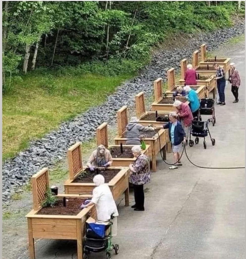 Saw this and had to share! Not sure where it is, but look at these raised beds so seniors can enjoy growing!

#kitchengarden #growing #growyourown #gardening #plot #allotment #growyourownfood #allotmentsuk #homegrown #garden #gardenlove #gardeninspiration