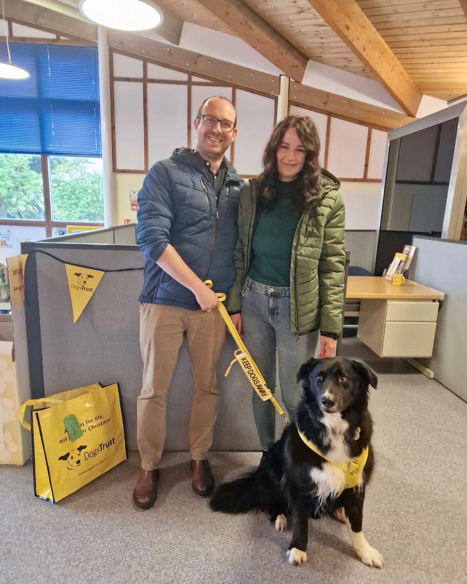 Interrupting your scroll with the BEST. NEWS. EVER — Chunky has been ADOPTED!! 🤩🥹

After 198 days in our care, Chunky has found his #ForeverFamily 💛

Congrats, Chunky— we’re going to miss you but are SO happy for you! ☺️

 #AdoptedDog #DogsTrustShoreham #Sussex #HappyEverAfter