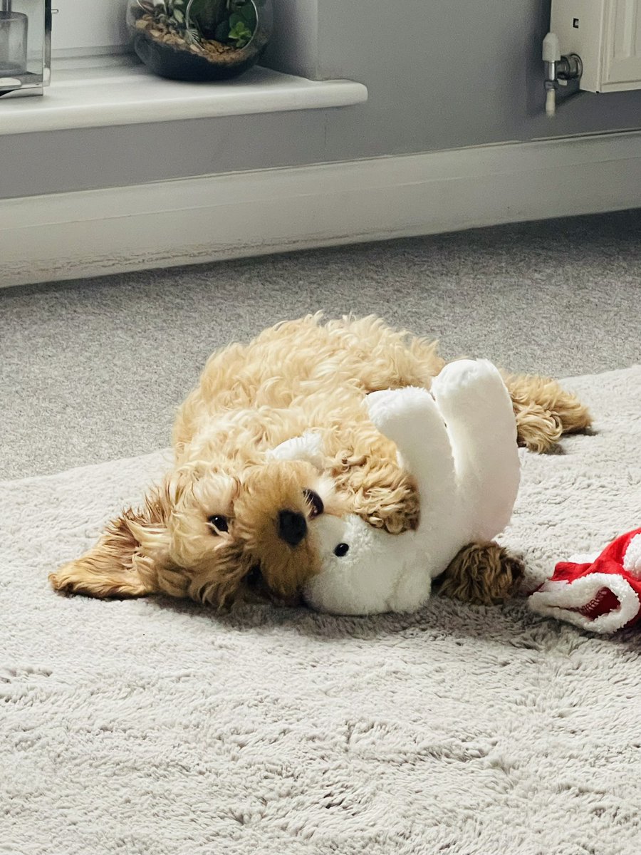 Aldarico Velasco tweet media