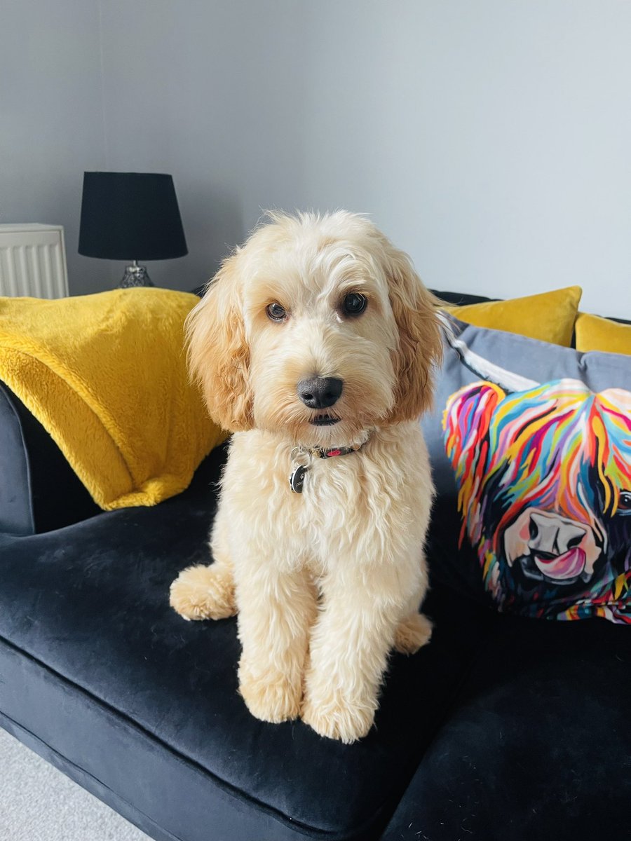 Aldarico Velasco tweet media