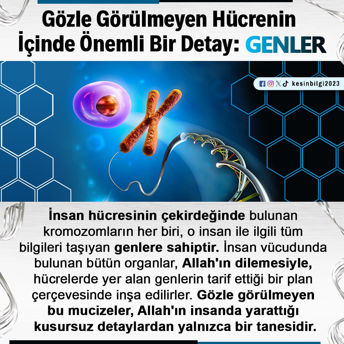 Gözle Görülmeyen Hücrenin İçinde Önemli Bir Detay: GENLER