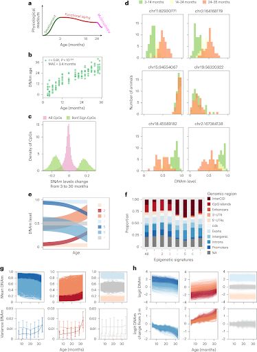 Nature of epigenetic aging from a single-cell perspective | Nature Aging buff.ly/3UYml3O