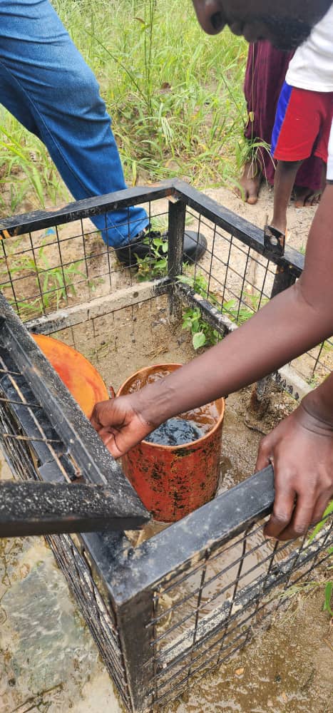 Rotary Club of Bunga D9214 tweet media