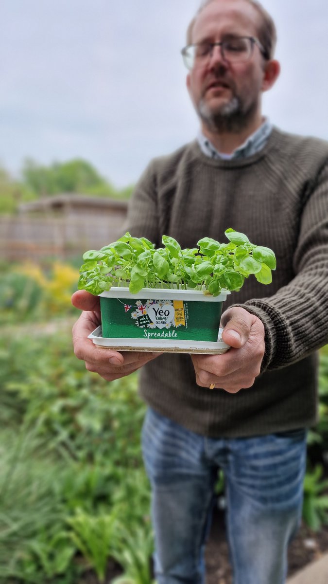 Have you planted your free #herbseeds yet? Richard, our head of membership, has sown his @OrganicCatalog seeds in his @yeovalley #Organic spreadable tub & they're coming along nicely! The special packs are at Sainsbury’s, Tesco, Waitrose & Asda stores, while stocks last.