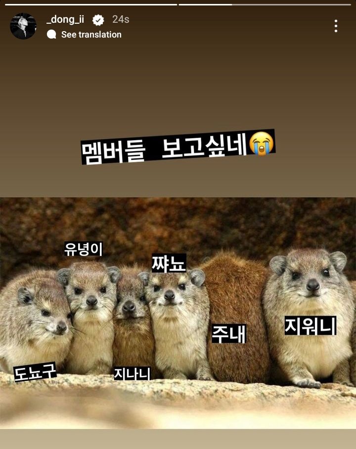 donghyuk igs update! 

"i miss my members😭
donyogu, yunhyeongie, jinani, chanu, june,jiwonie"

same donghyuk same 😭😭