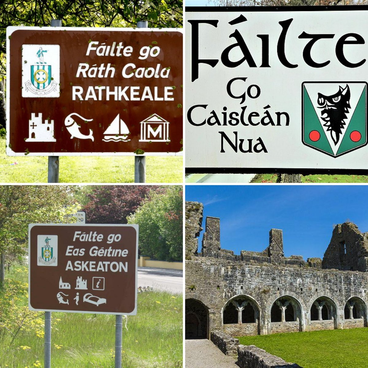Delighted to see funding announced by Minister @HHumphreysFG to support town teams in Newcastle West, Kilmallock, Askeaton & Rathkeale to drive regeneration across these towns tackling vacancy This is something I'm committed to building on if elected Mayor #ButlerForMayor