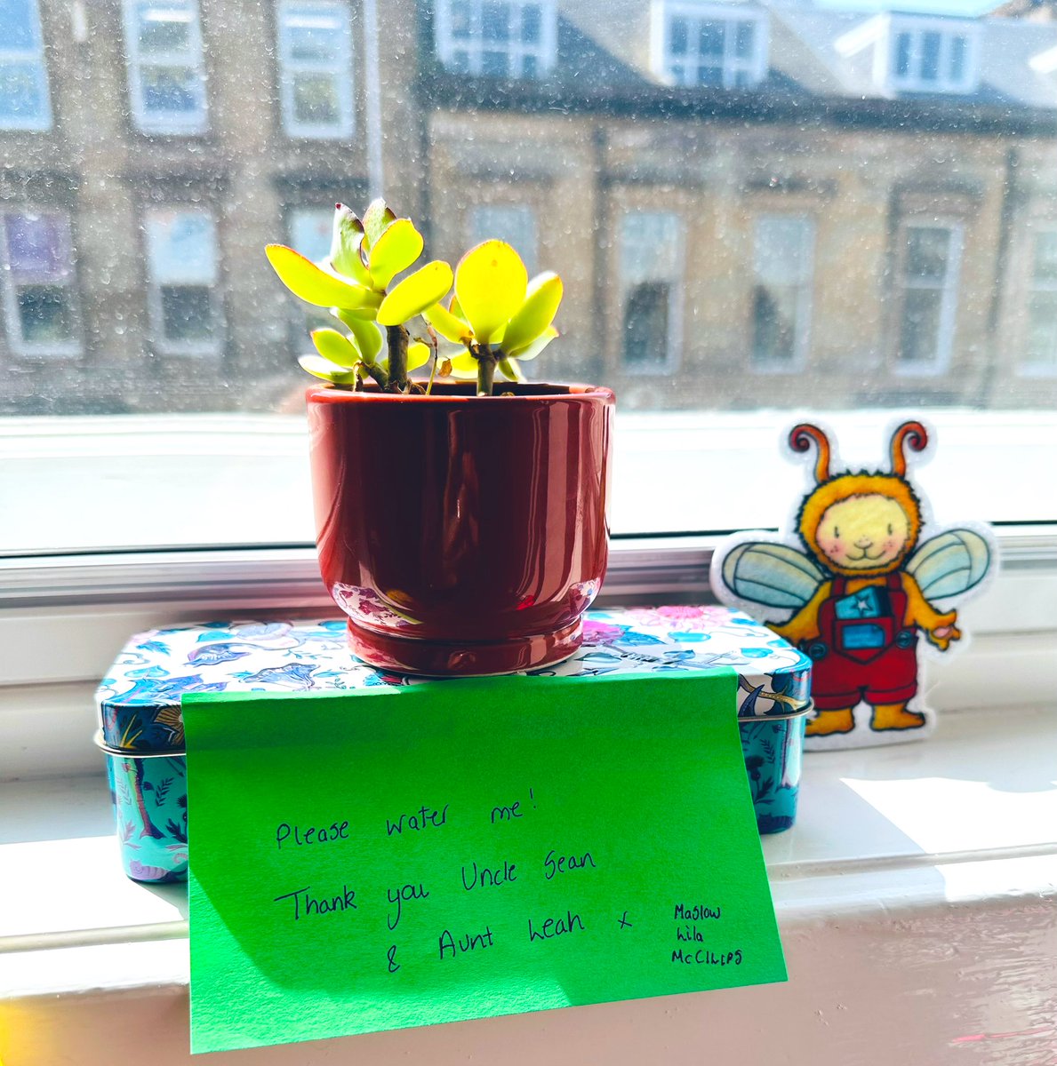 GGallerina's tweet photo. Please note, the next support group meeting for plant mums on holiday is at 5pm today. And y’all thought the #PetsOfCILIPS were spoilt… 🪴@CILIPScotland #BookbugWeek https://t.co/V05Yq5rwtG