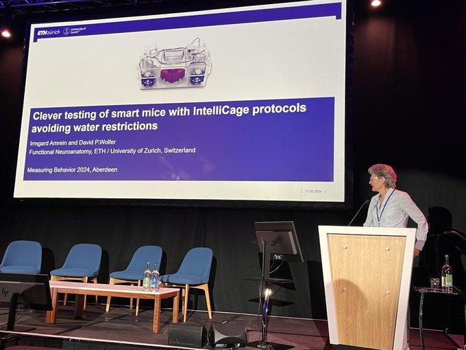 COST_TEATIME's tweet photo. Irmard Amrein presenting clever testing of smart mice: Intellicage #homecage monitoring protocols without water restrictions.
#behavior #animalresearch @COSTprogramme @ETH #MeasuringBehavior2024 https://t.co/7PvoFL0h2m