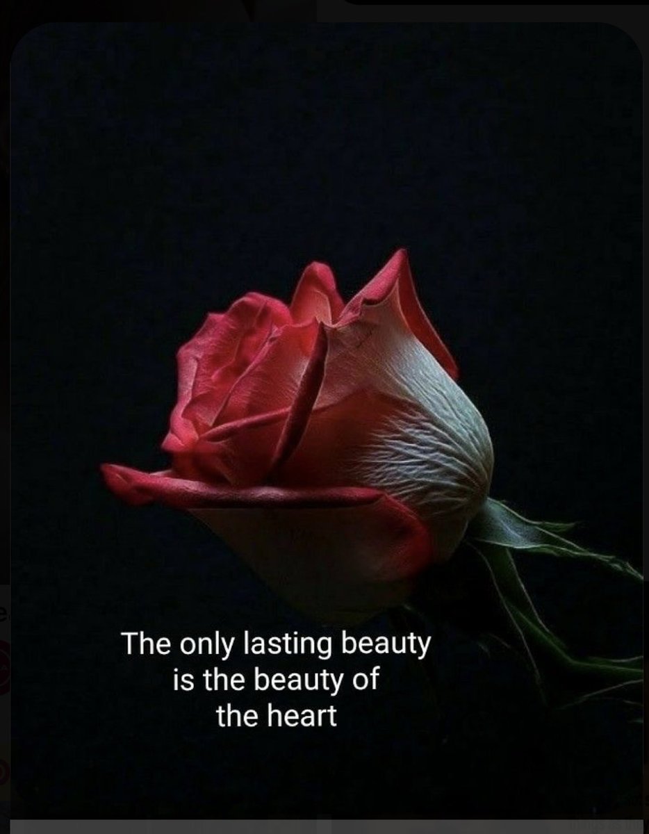 The Only Lasting Beauty ❤️