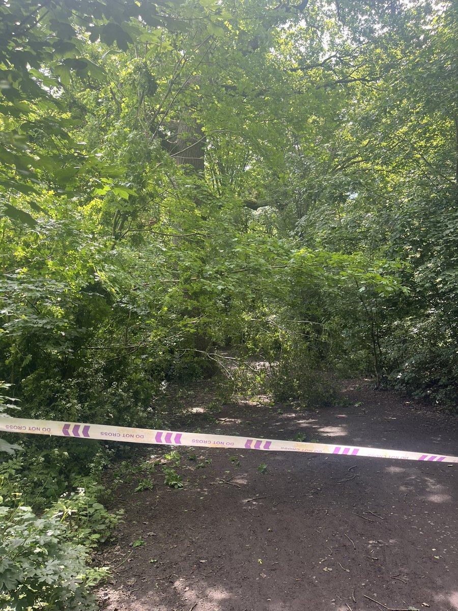 Tree down in Whyte’s wood. Please do not use main path till the tree surgeons have assessed the damage as we suspect the whole tree is a danger to the public. Thank you to the two ladies who alerted us and called @idverde_Bromley