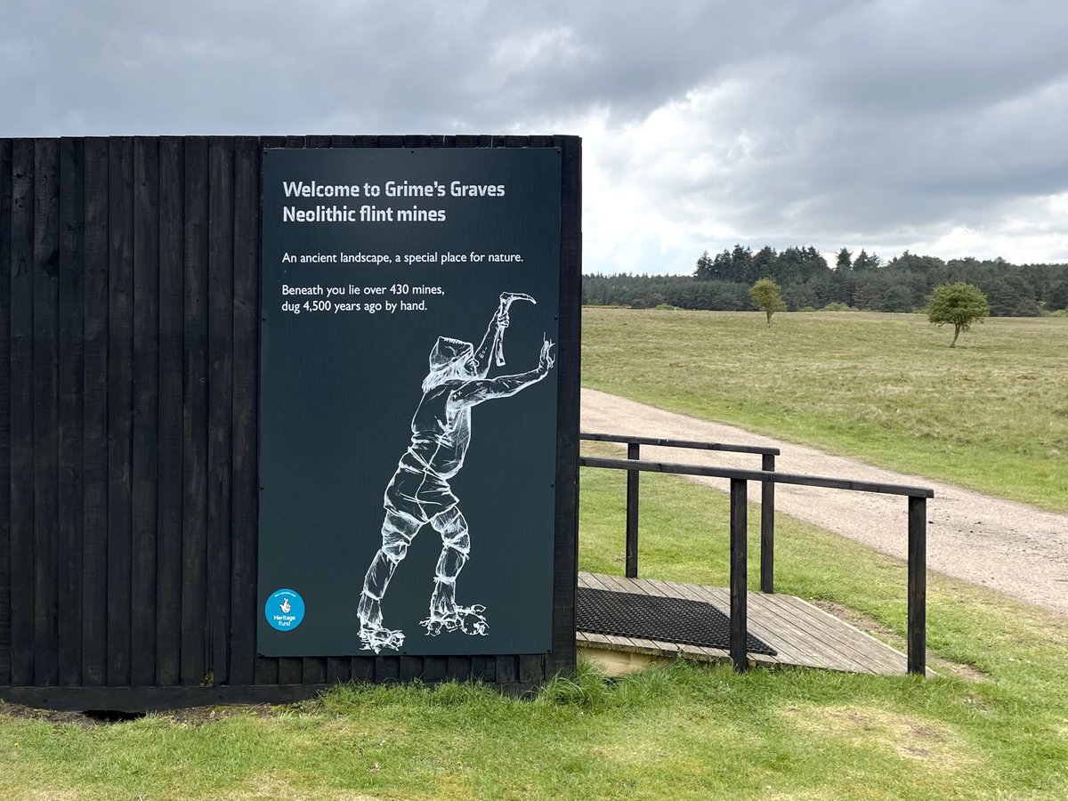 At Grimes Graves site's entrance, visitors encounter a life-size illustration of a pre-historic miner; a work by @beckystrick. A @heritagefunduk project for @englishheritage with @MawsonKerr @davidsudlow @standard8design @_heritage and @j_w_norton.

#grimesgraves
