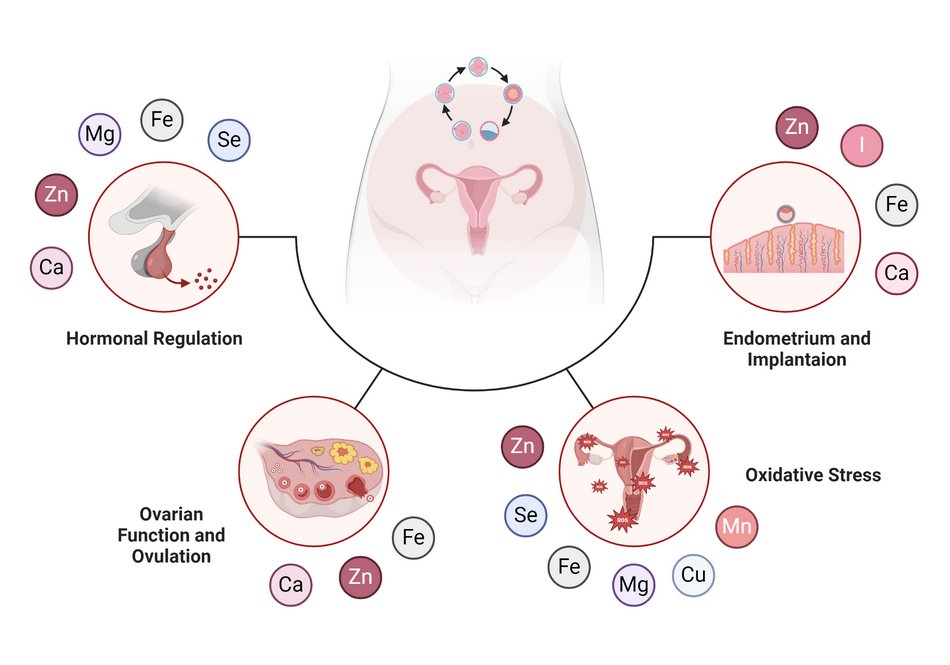 #mdpinutrients Welcome to read the Latest hot articles in Nutrients! 

dx.doi.org/10.3390/nu1608…
dx.doi.org/10.3390/nu1607…
dx.doi.org/10.3390/nu1608…
dx.doi.org/10.3390/nu1607…
dx.doi.org/10.3390/nu1607…