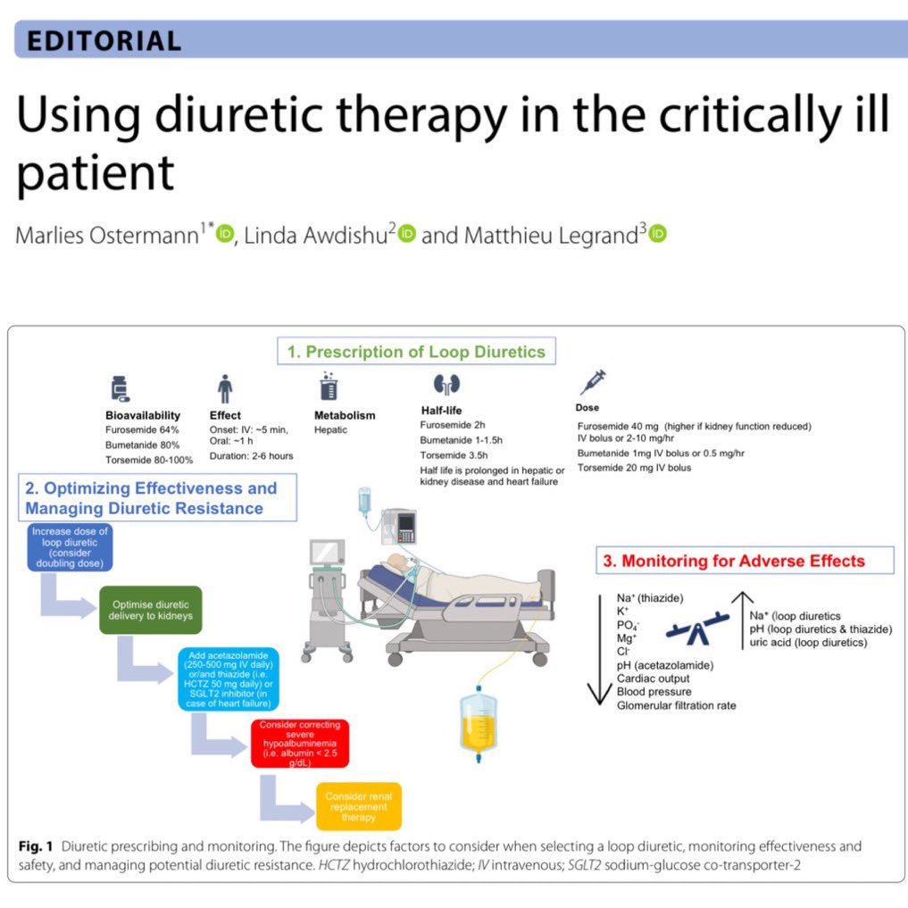 Excellent article on use of diuretics in the ICU 💧 #FOAMcc 🔗link.springer.com/content/pdf/10…