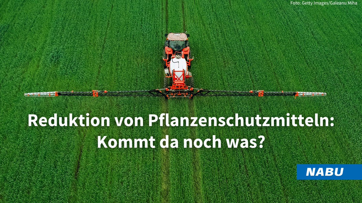 Weniger Pflanzenschutzmittel in 🇩🇪, das ist ein Ziel des @bmel-„Zukunftsprogramm Pflanzenschutz“. Wir haben uns die Diskussionsgrundlage angeschaut – und ziehen eine ernüchternde Bilanz ➡️ blogs.nabu.de/naturschaetze-…