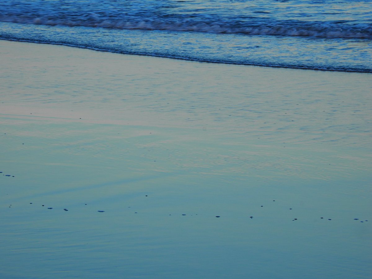 こんばんは
本日の平塚からの夕日
#夕日
#神奈川 
#湘南 
#平塚
Date:2024.05.17