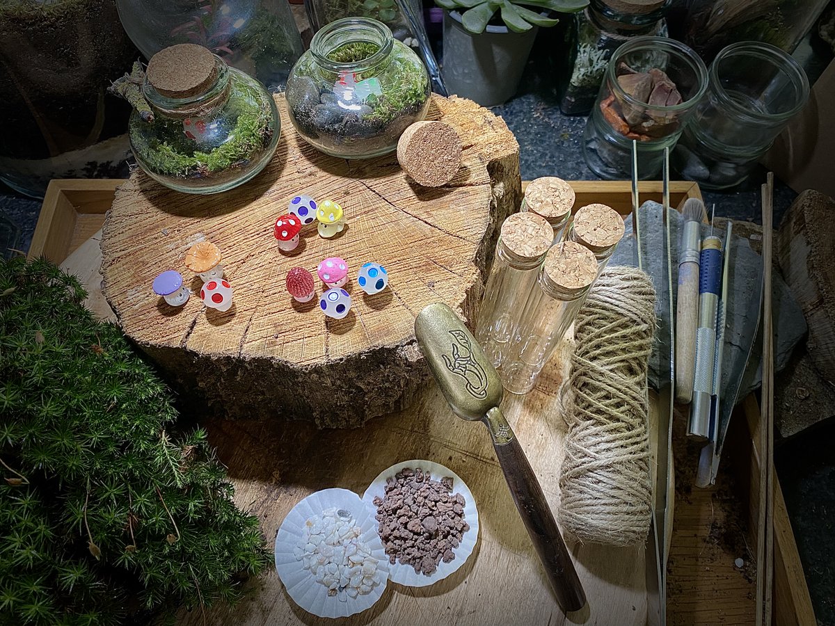 Projet en cours, mini terrarium collection 'Mush&Room':)🍄🪴🌿🎍🌱🪵🌲🐜☘️