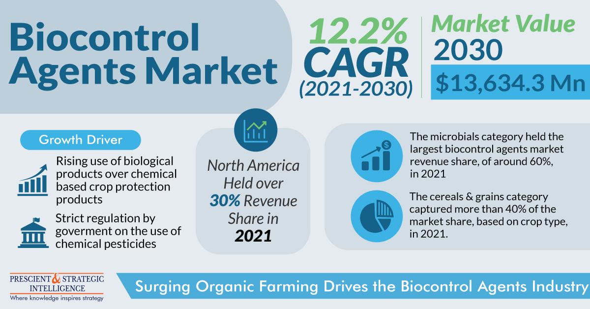 Discover the future of sustainable agriculture with the #Biocontrol #Agents #Market! Revolutionizing pest management by harnessing nature's power.
Get free sample pages@ bityl.co/Pwm7

#Biocontrol #SustainableFarming #AgTech #GreenAgriculture #EcoFriendly #PestControl