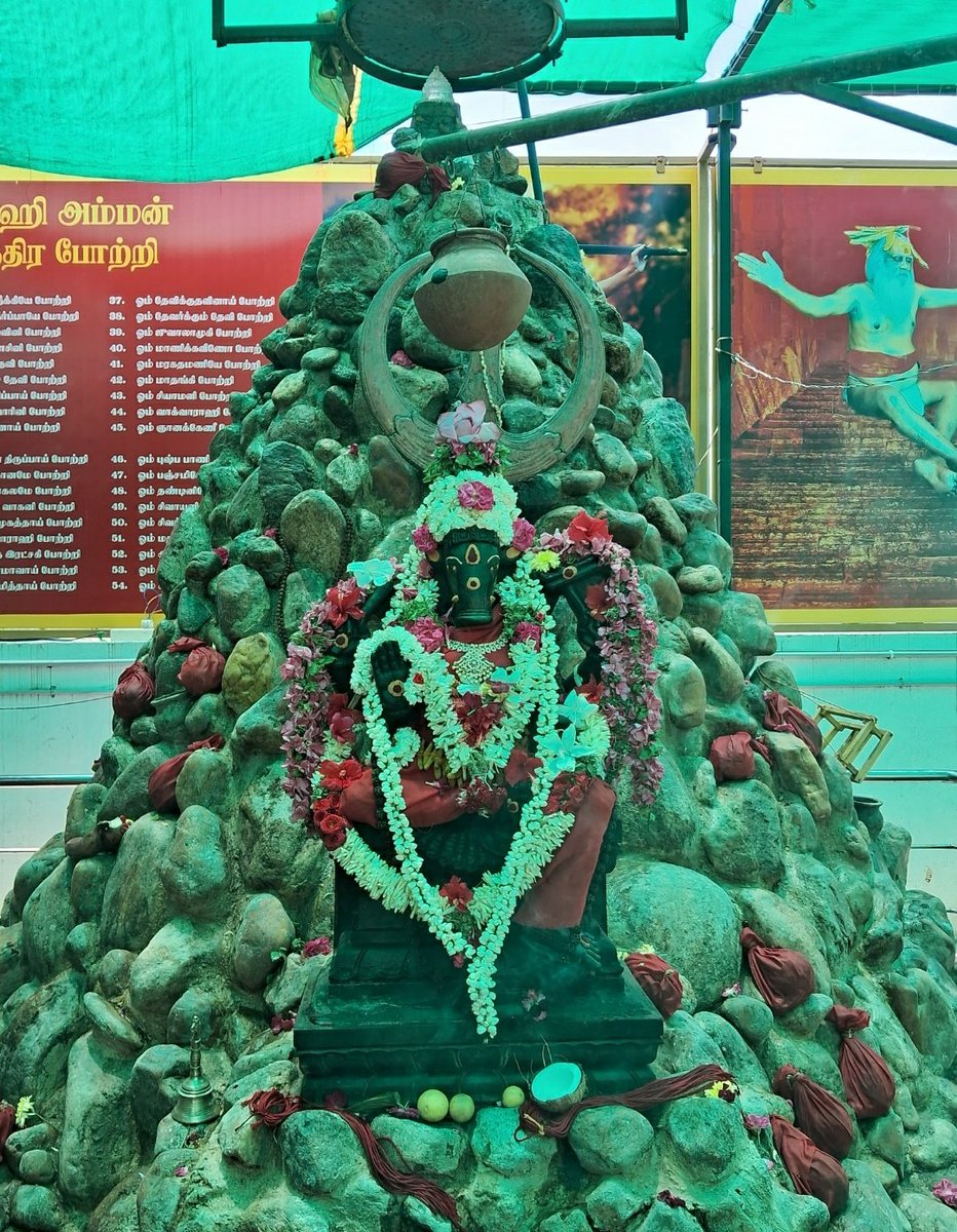 TempleConnect_'s tweet photo. Take Heavenly Darshan of Sri Varahi Amman from Arulmigu Sree Vaastheeswarar Temple #Sukkampatti #Agaram #Dindigul #TamilNadu &amp; get blessed

🪻Jai Varahi🪻
🪻Jai Jai Varahi🪻

#TempleConnect #Varahi #Barahi #Dandini #Varthali #Verai #Matrika #Lakshmi #Shakti #TemplesofIndia https://t.co/GFQ8t6CWKi