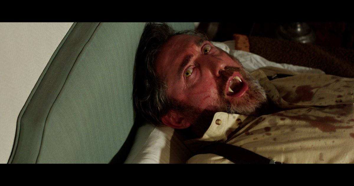 Charlie Steeds tweet media