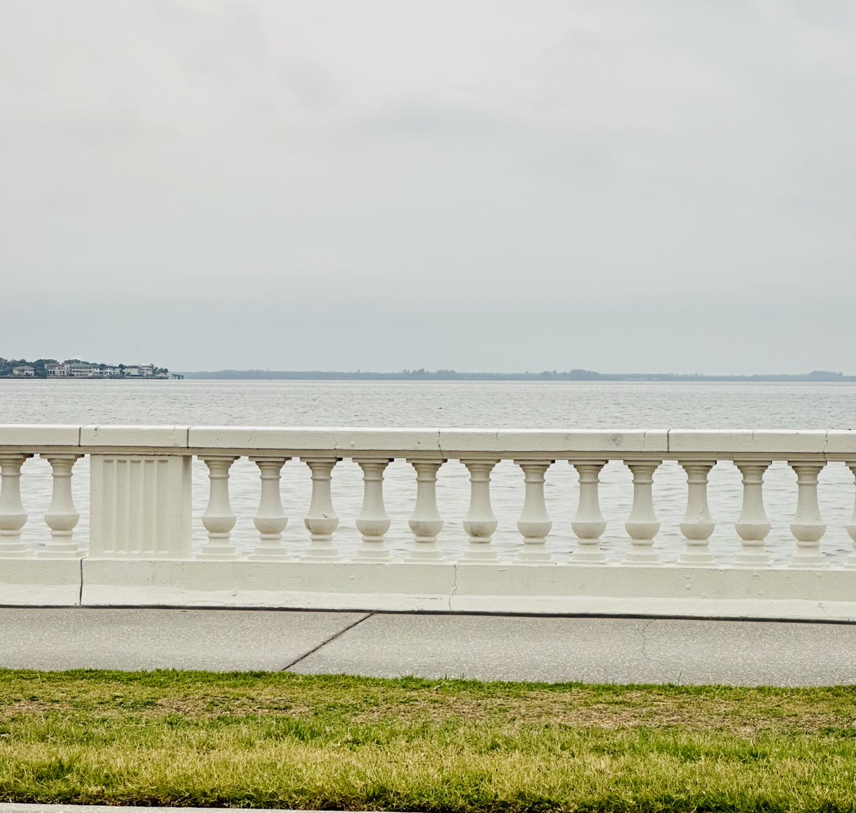 The view is great even on cloudy mornings #loveyourlife #changeyourlife #luckygirl #abileads #CrazyConfident #baylife #tampa #tampabae #tampabay #tampaphotography #beinspired #beauty #LifeAfterLeapingIn #relocation #goodvibes #gratitude #gulfviews #happiness #bayshoreblvd