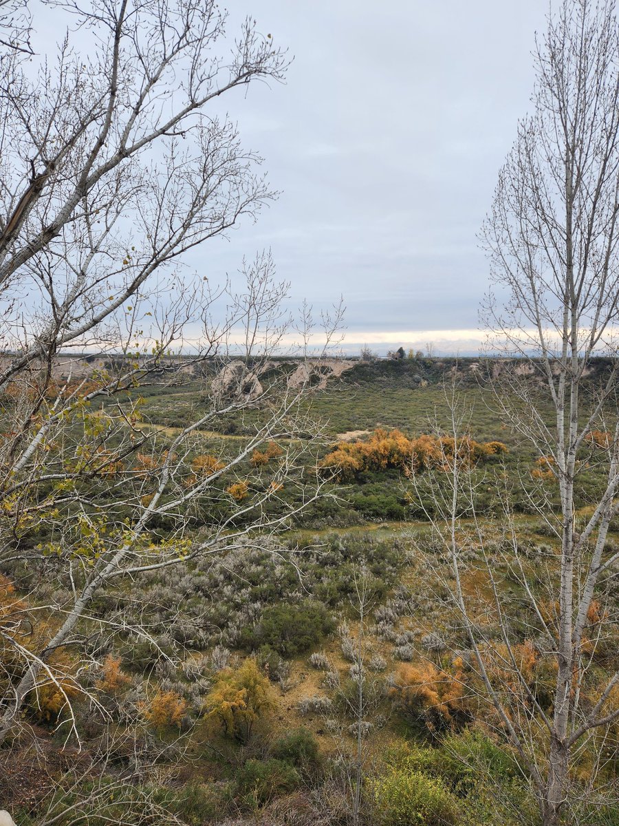 #CambioDeRumbo
 Recorrida de Nogales🌿 próximo destino de #MEGAFOL <a href="/Syngenta_ar/">Syngenta Argentina</a>
No podía faltar Recorrida de viñedos a cargo de <a href="/MarcosFFont/">Marcos Fontana</a>
#Mendoza #Ciudaddelvino 
#NotodoesCereales