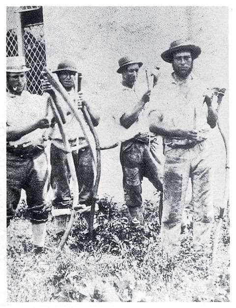 One of the earliest photographs of agricultural labourers in Dorset, a mowing team from Piddletrenthide in about 1863.