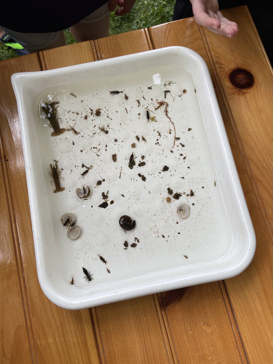 The best day of the year! Trout release!