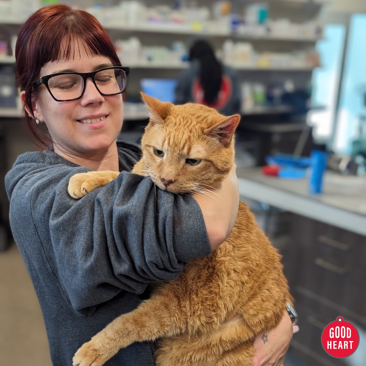 This is one big kitty! Big or small, we love 'em all! 😻