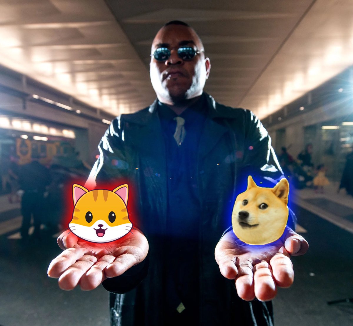 You take the blue pill and you get 1x maybe 2x
You take the red pill and you get 50x maybe 100x
$CATE vs $DOGE
#LifeChanging #nft #p2e #memecoin #catecoin