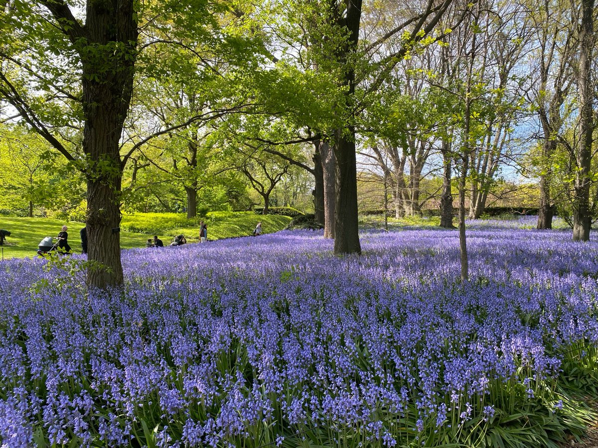 ReportingRight's tweet photo. Brooklyn Botanical Gardens @anelsona #NYCHellscape 👇 https://t.co/1FdiCrlUVl